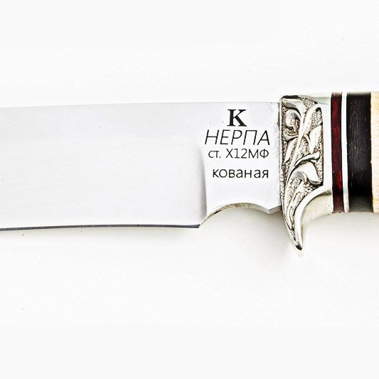 Нож "Нерпа" Х12МФ (без рисунка) (Кашулин). Фото №4