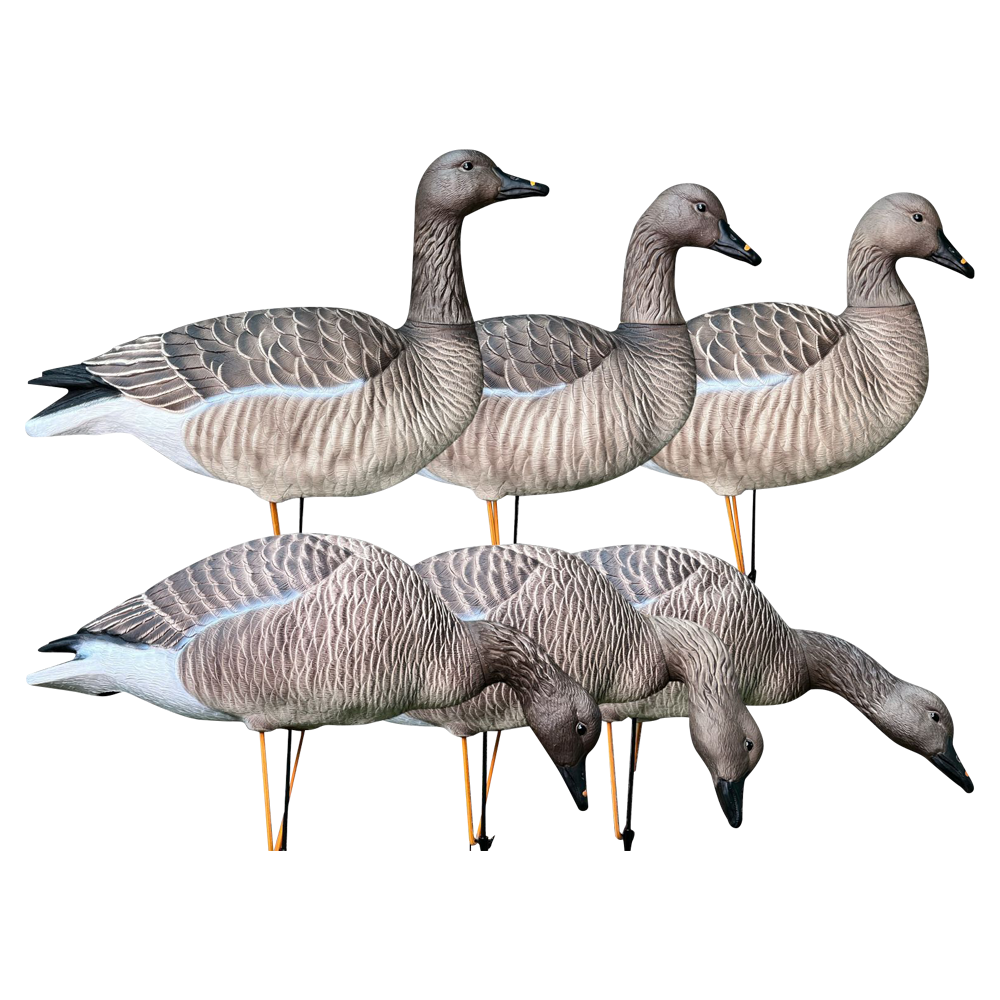 Гуменник гусь Oscar Decoys Avian-Mix ELITE 3D 6 шт Сминаемые(3-корм,2-отд,1-сторож)Съем.гол.EGG6 . Фото №6 Гуменник гусь Oscar Decoys Avian-Mix ELITE 3D 6 шт Сминаемые(3-корм,2-отд,1-сторож)Съем.гол.EGG6 . Фото №6