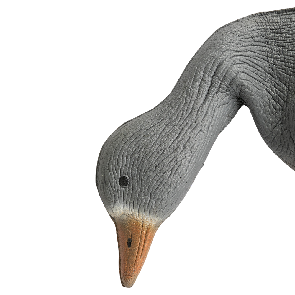 Гусь белолобый кормящийся (надувной). Фото №3