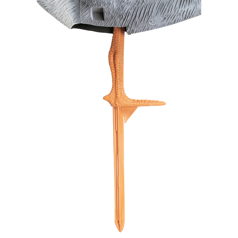 Муляж "Гусь белолобый" (Складной). Фото №2 Муляж "Гусь белолобый" (Складной). Фото №2