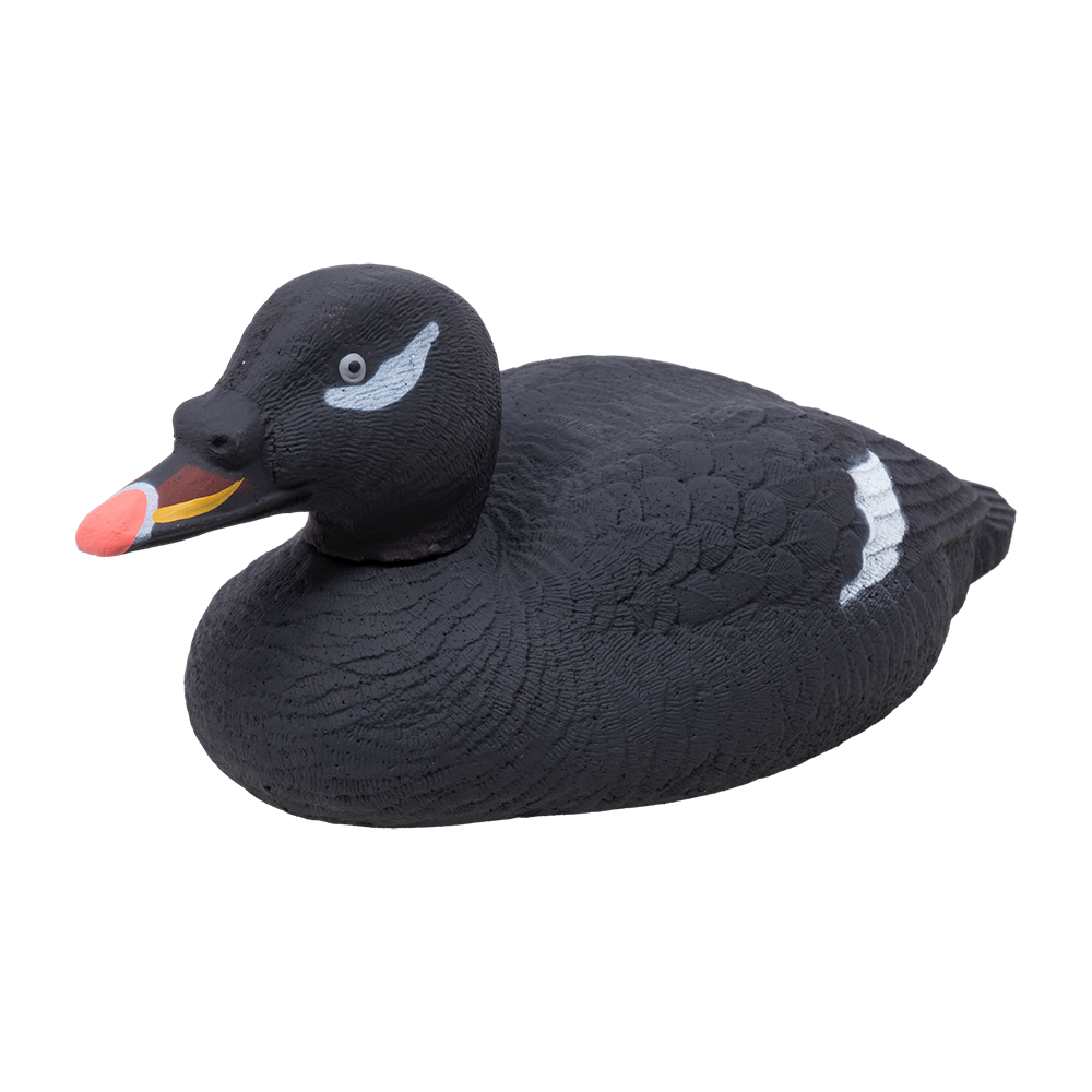 Муляж Турпан горбоносый-селезень, рельеф (Томск). Фото №1