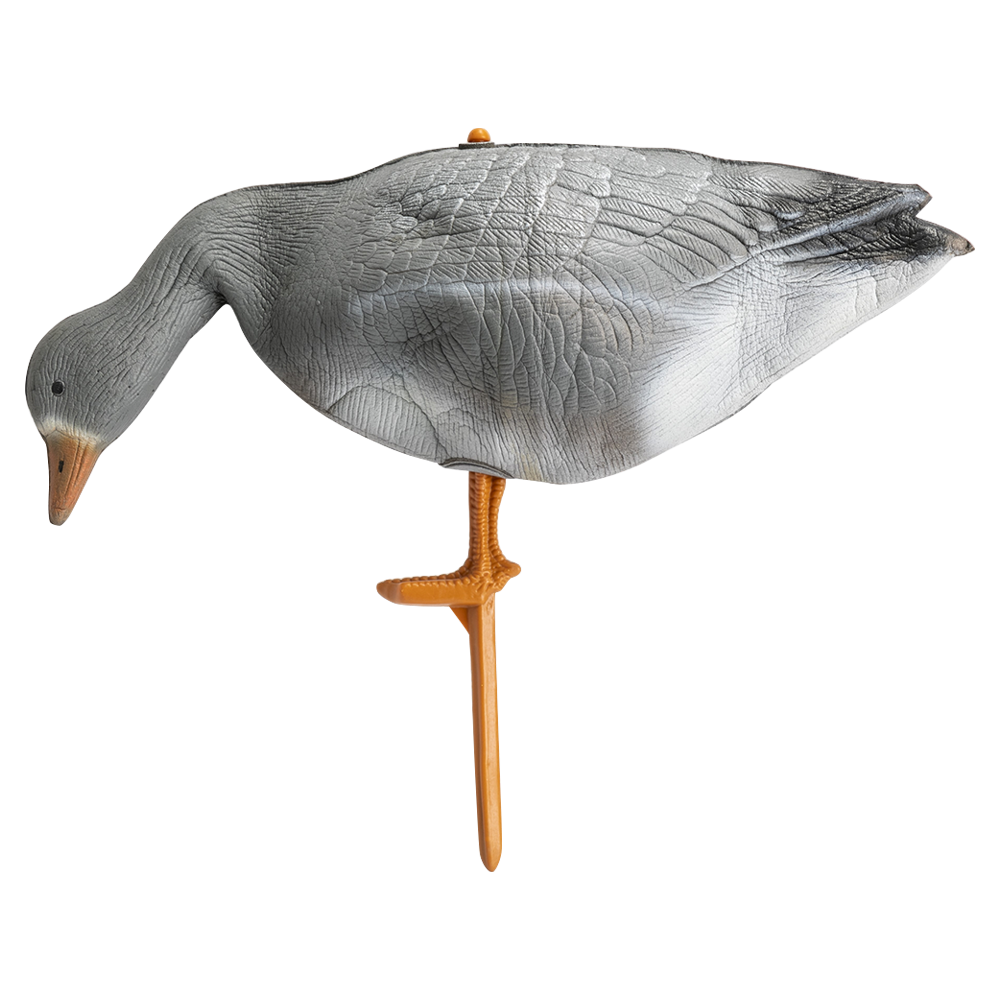 Гусь белолобый кормящийся (надувной). Фото №4