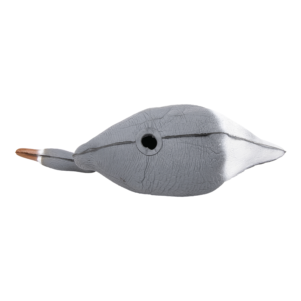 Муляж Гусь белолобый, отдыхающий, вид-2 (прямосмотрящий) (надувной). Фото №4 Муляж Гусь белолобый, отдыхающий, вид-2 (прямосмотрящий) (надувной). Фото №4