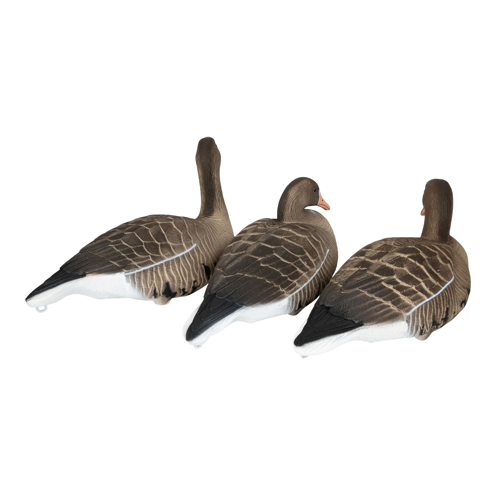 Комплект Белолобый гусь, Softplast®Softplast® 3D, BS-3D. Фото №3 Комплект Белолобый гусь, Softplast®Softplast® 3D, BS-3D. Фото №3