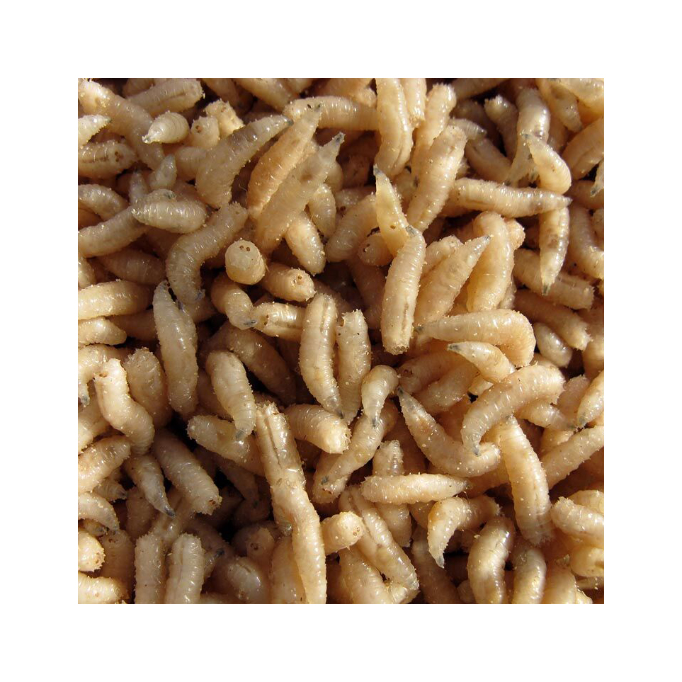 Опарыш (НН). Фото №2