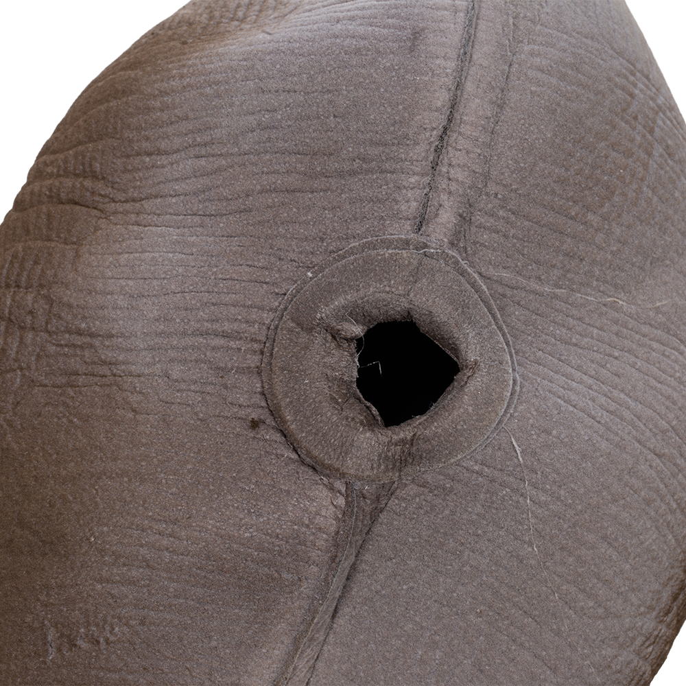 Муляж Гусь гуменник кормящийся (надувной). Фото №4