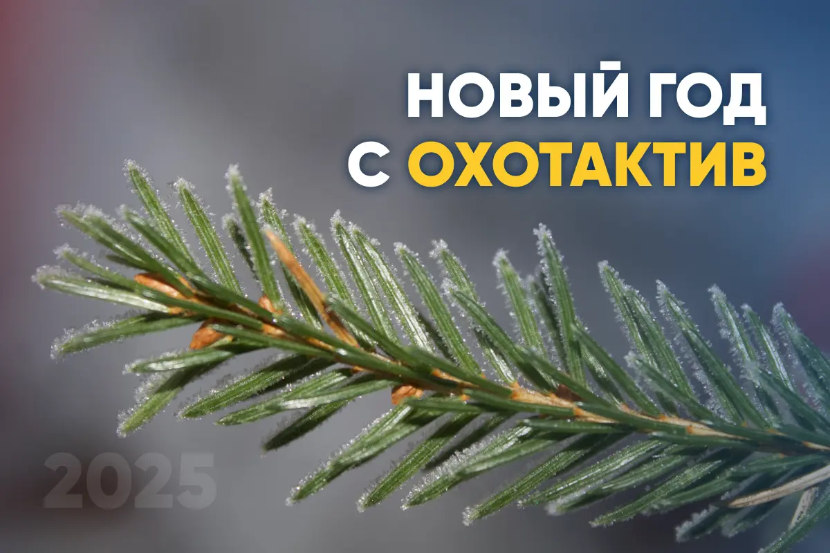 Новый год с ОхотАктив Новый год с ОхотАктив