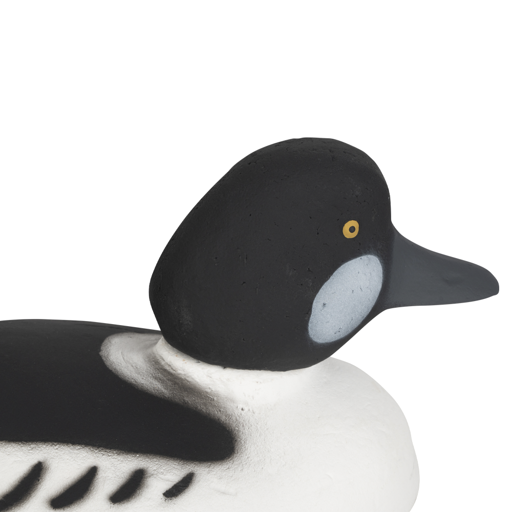 Муляж Гоголь-Селезень (Томск). Фото №2