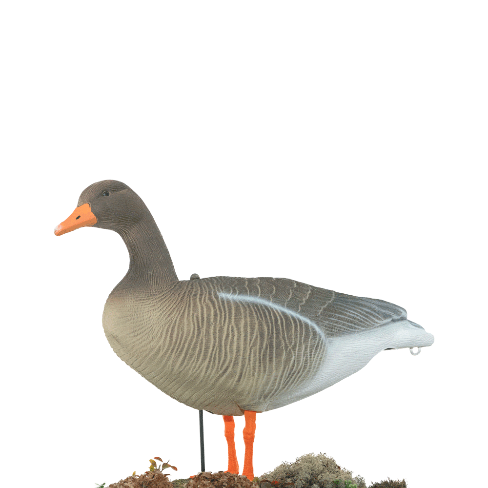 Серый гусь KING CUSTOM OSCAR DECOYS Greylag Goose Мягкий пластик 10 шт (8+2) EG10. Фото №7