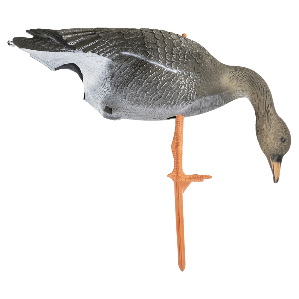 Чучело Sport Plast гусь Гуменник кормящийся. Фото №1