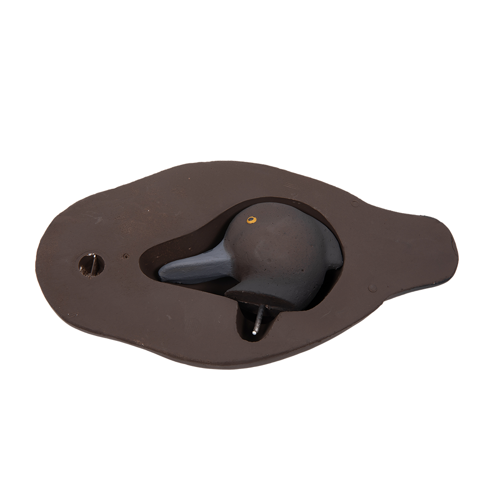 Муляж Хохлатая чернеть - Утка (Томск). Фото №3