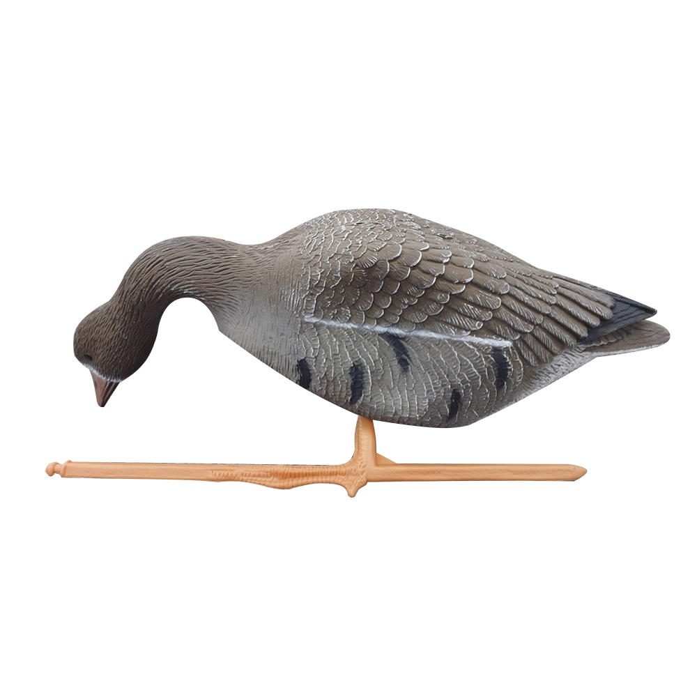 Чучело Sport Plast гусь Белолобый кормящийся. Фото №1