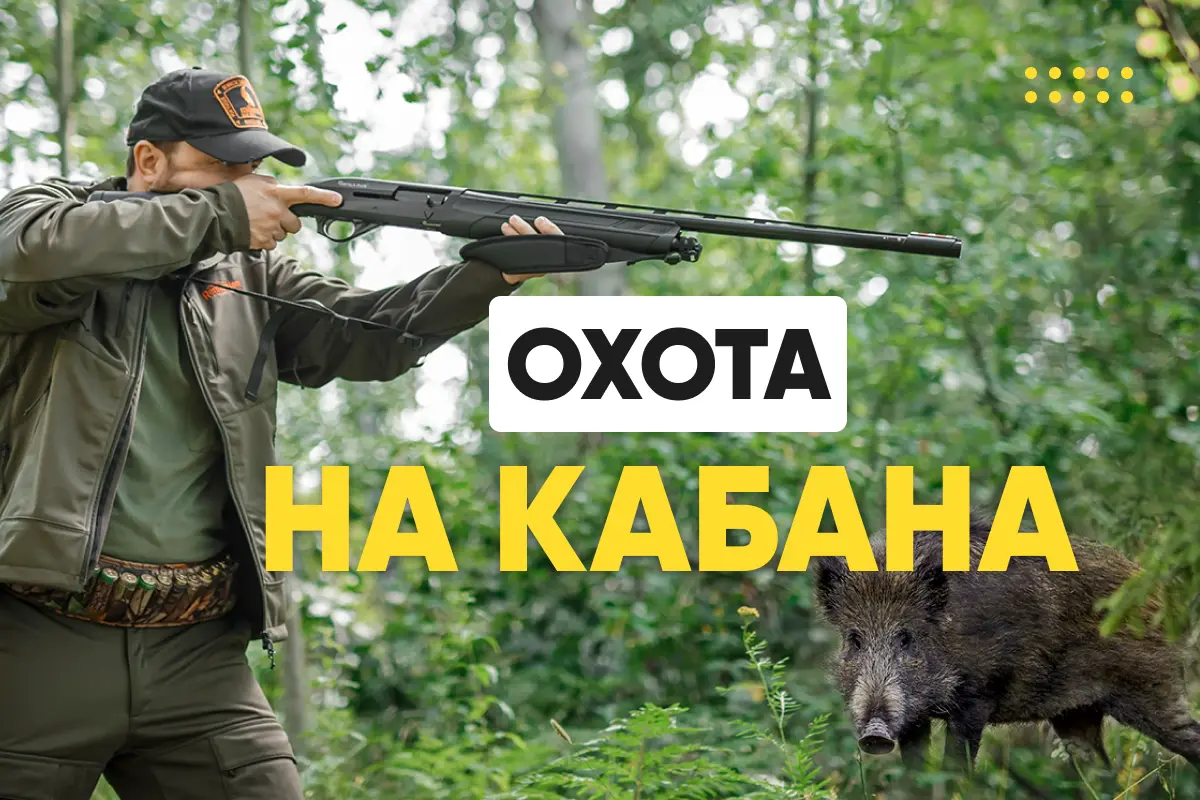 Охота на кабана: способы и особенности, снаряжение