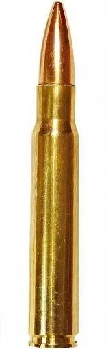 Патрон нарезной НПЗ калибр 9,3х64 FMJ ГЛ ТОМПАК (в пачке 20 шт.) (в коробке 280 шт.). Фото №1 Патрон нарезной НПЗ калибр 9,3х64 FMJ ГЛ ТОМПАК (в пачке 20 шт.) (в коробке 280 шт.). Фото №1