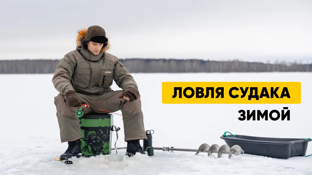 Судак зимой: где и как ловить, выбор живца, особенности рыбалки