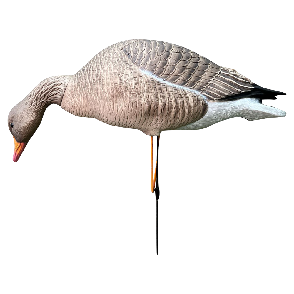 Серый гусь Oscar Decoys Avian-Mix ELITE 3D 6 шт Сминаемые (3-корм,2-отд,1-сторож)Съемные головы ELG6. Фото №2