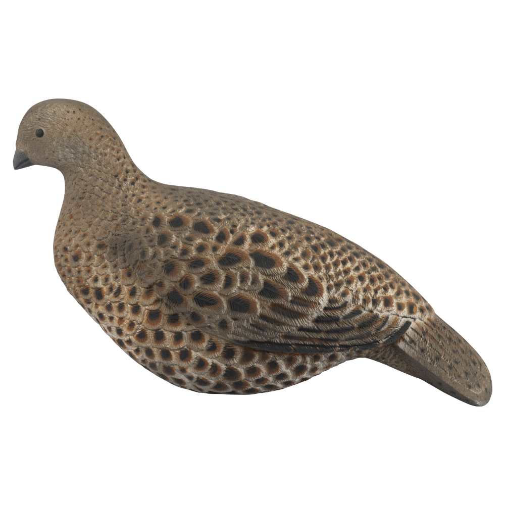 Муляж Тетерка (Томск). Фото №2