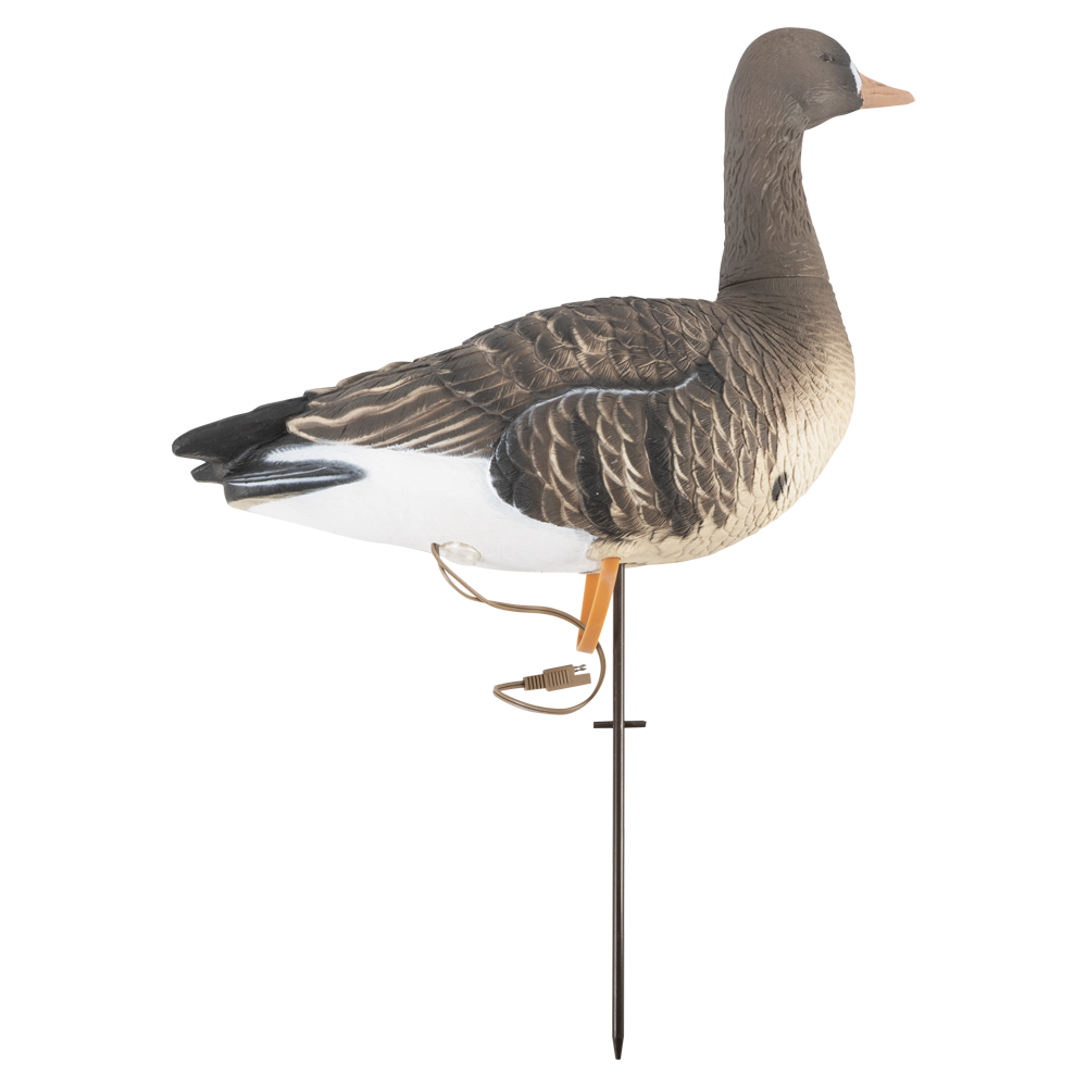 Гусь белолобый, электромеханический, DuckMania  DM-ROB501. Фото №1