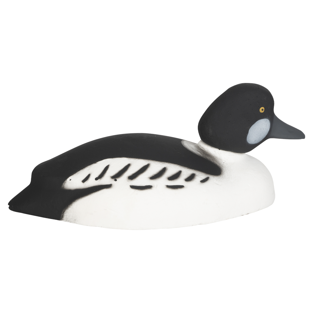 Муляж Гоголь-Селезень (Томск). Фото №1