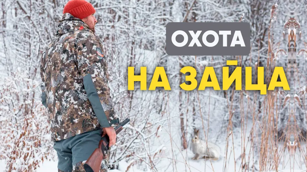 Охота на зайца: способы, снаряжение