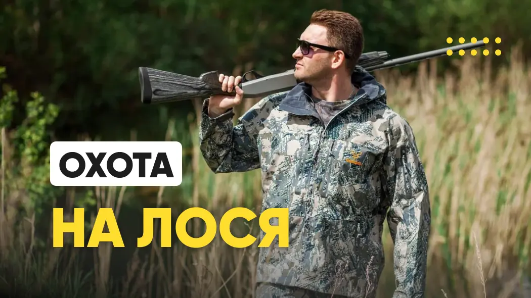 Охота на лося