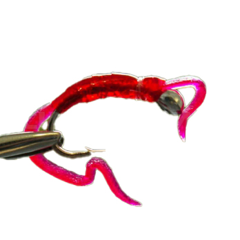 Нимфа Суперкембрик №10 (Kumho) (50 шт.). Фото №1