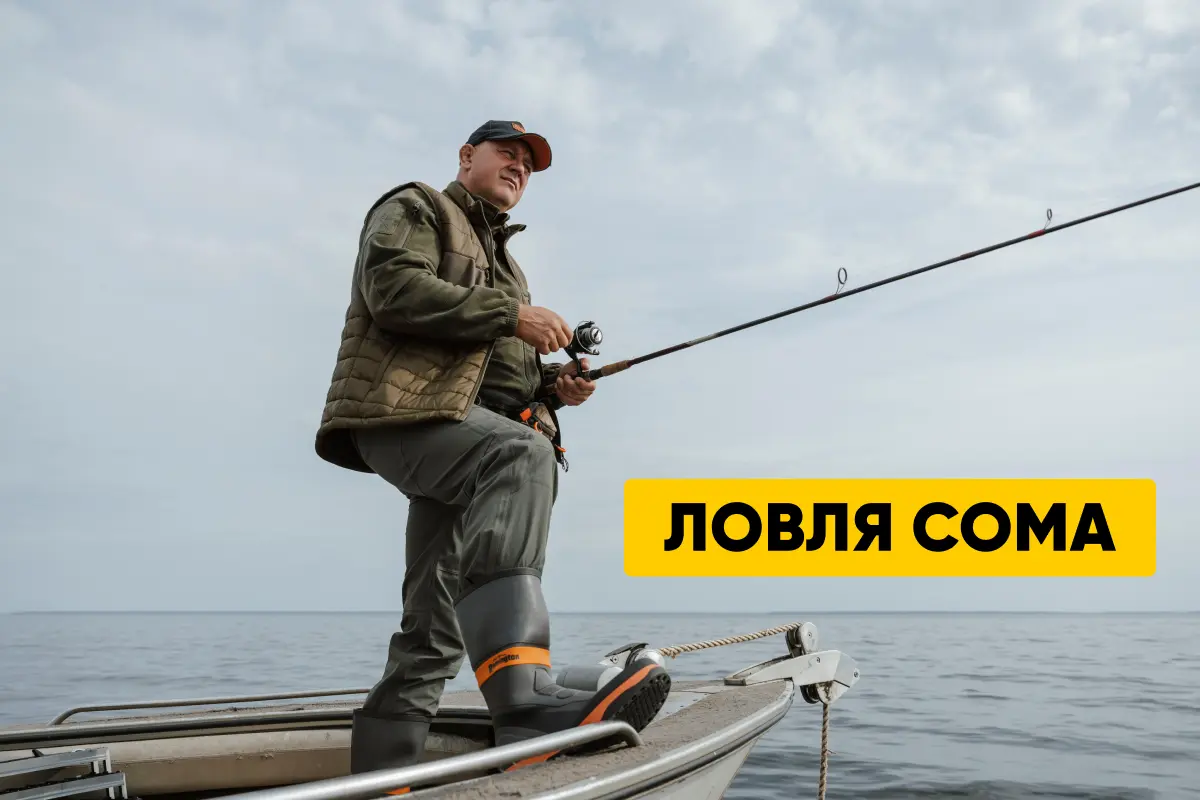 Ловля сома: особенности, места обитания, время суток, снасти