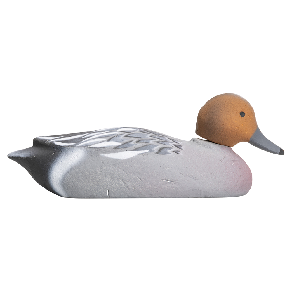 Муляж Свиязь-Селезень (Томск). Фото №1