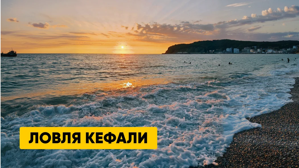 Ловля кефали: где и как ловить, сезоны, погода, снасти и наживки