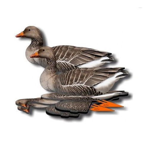 Чучело Гусь Серый (сторожевой, отдыхающий, кормящийся) 6 шт.. Фото №3 Чучело Гусь Серый (сторожевой, отдыхающий, кормящийся) 6 шт.. Фото №3