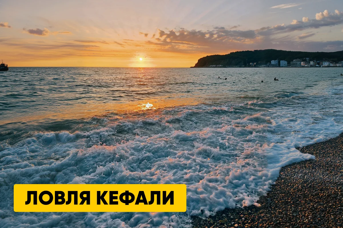 Ловля кефали: где и как ловить, сезоны, погода, снасти и наживки