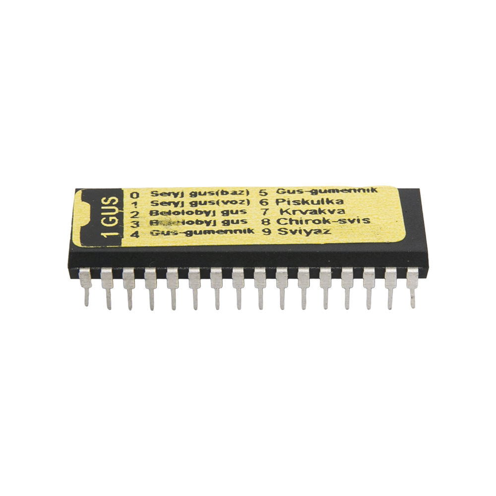 Чип №1 (гусь) Mundi Sound. Фото №1 Чип №1 (гусь) Mundi Sound. Фото №1