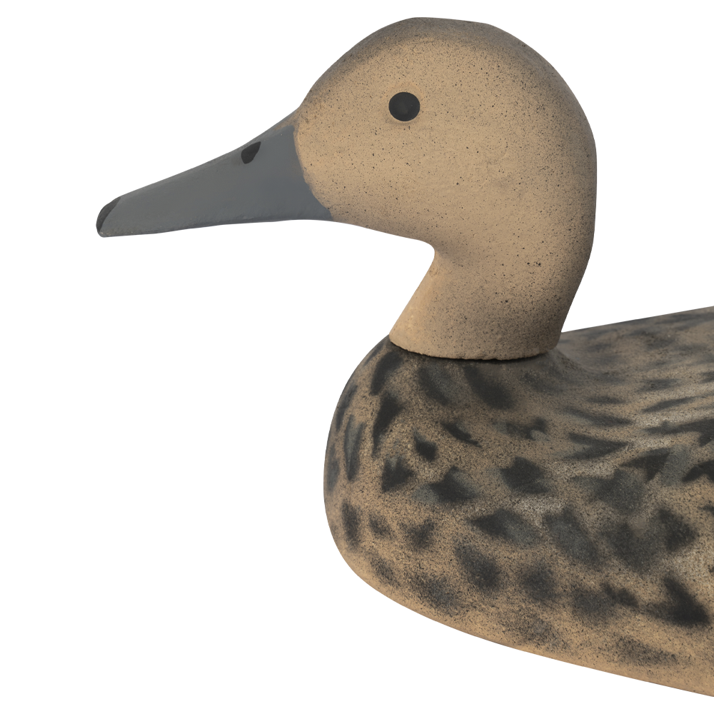 Муляж Шилохвость - Утка (Томск). Фото №3