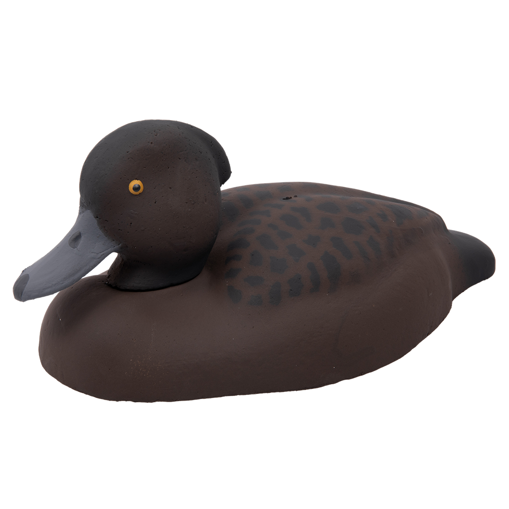 Муляж Хохлатая чернеть - Утка (Томск). Фото №1