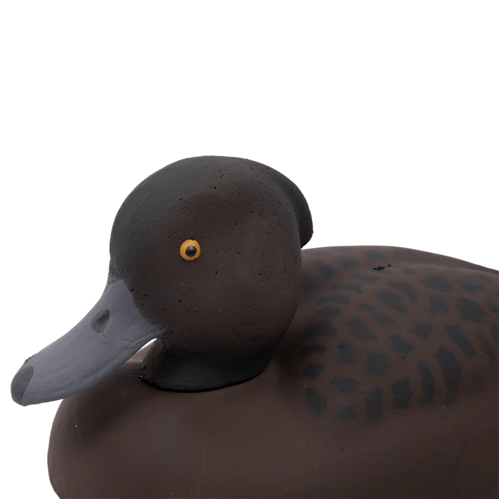 Муляж Хохлатая чернеть - Утка (Томск). Фото №2