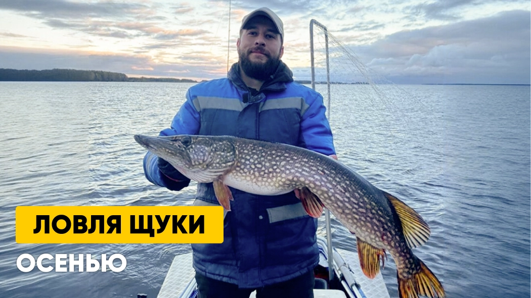 Ловля щуки осенью: на что и где ловить, приманки; когда у щуки жор?