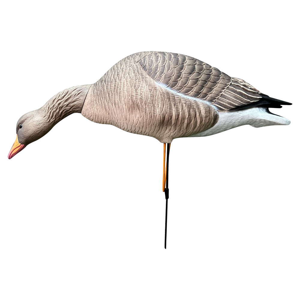 Серый гусь Oscar Decoys Avian-Mix ELITE 3D 6 шт Сминаемые (3-корм,2-отд,1-сторож)Съемные головы ELG6. Фото №4