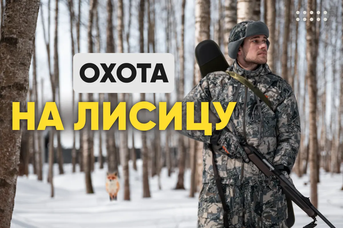 Охота на лисицу: с подхода, с манком; подготовка снаряжения Охота на лисицу: с подхода, с манком; подготовка снаряжения