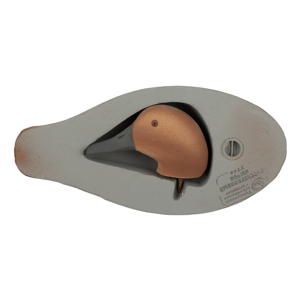 Муляж Красноголовый нырок - Утка (Томск). Фото №5