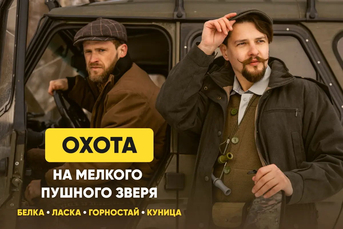 Охота на мелкого пушного зверя: виды дичи, способы, сроки