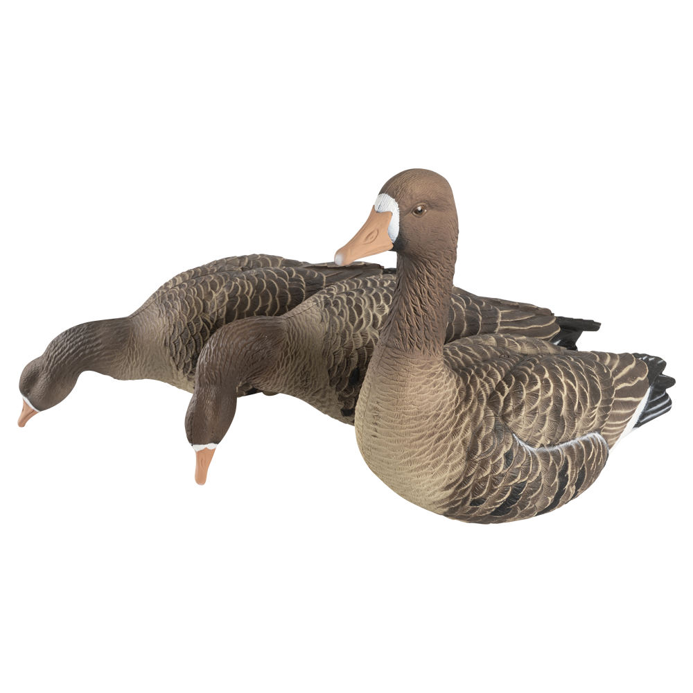 Гусь белолобый, 5 штук + 1 робот DuckMania® DM-777501. Фото №3