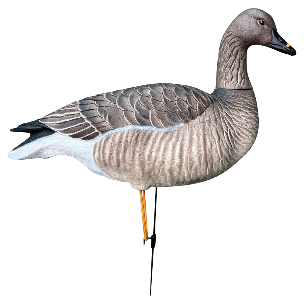 Гуменник гусь Oscar Decoys Avian-Mix ELITE 3D 6 шт Сминаемые(3-корм,2-отд,1-сторож)Съем.гол.EGG6 . Фото №2 Гуменник гусь Oscar Decoys Avian-Mix ELITE 3D 6 шт Сминаемые(3-корм,2-отд,1-сторож)Съем.гол.EGG6 . Фото №2