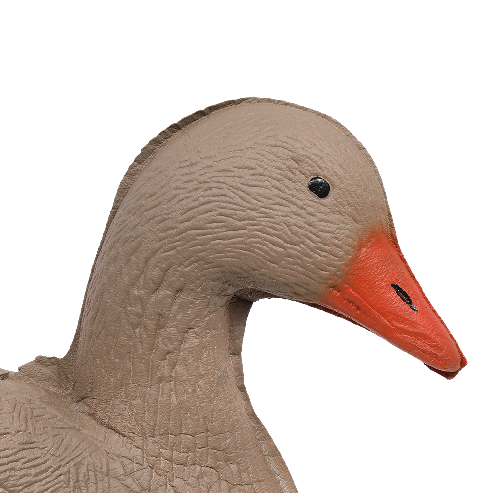 Гусь гуменник отдыхающий (надувной). Фото №2 Гусь гуменник отдыхающий (надувной). Фото №2