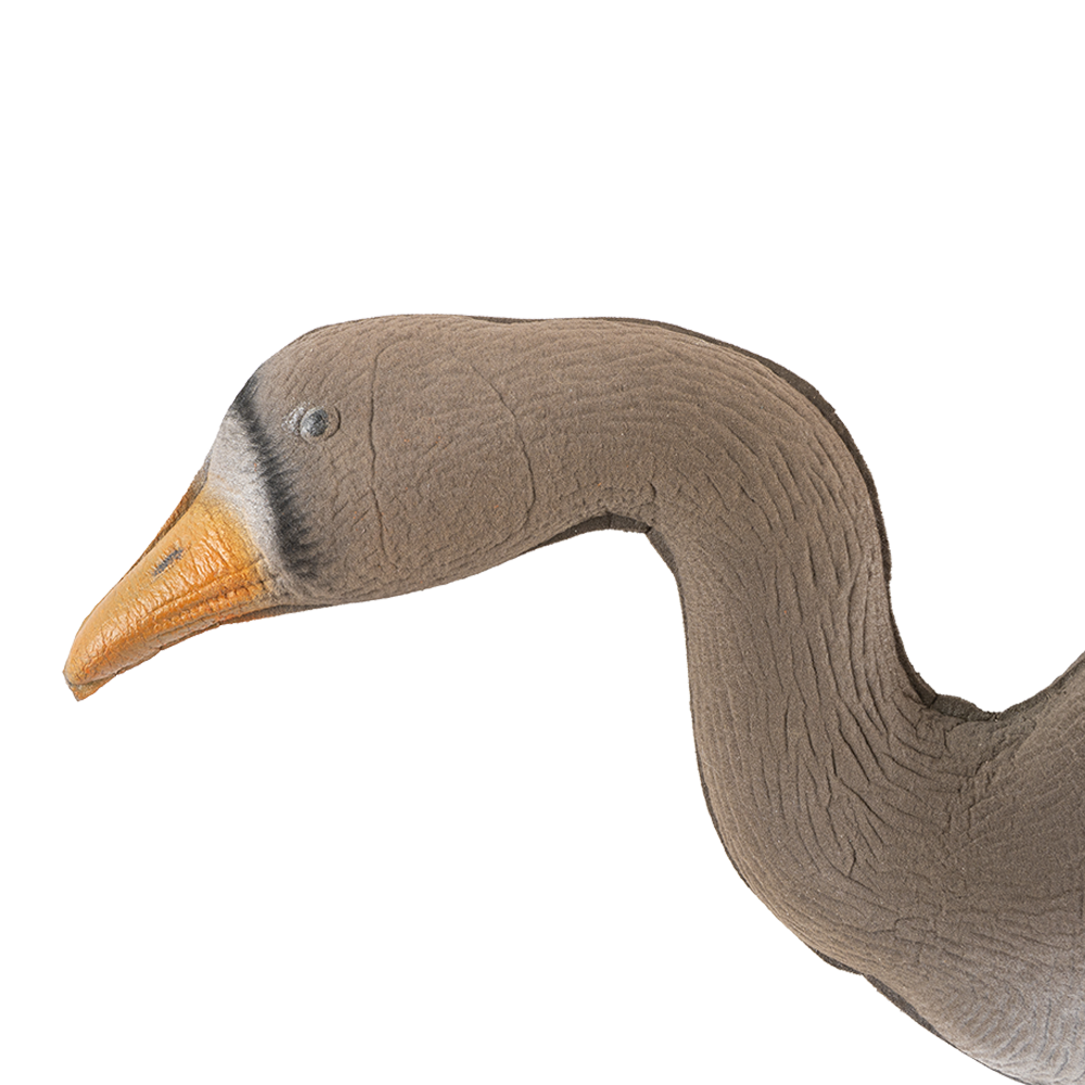 Чучело гусь белолобый прямосмотрящий Флокированный (цвет UVB1). Фото №2 Чучело гусь белолобый прямосмотрящий Флокированный (цвет UVB1). Фото №2