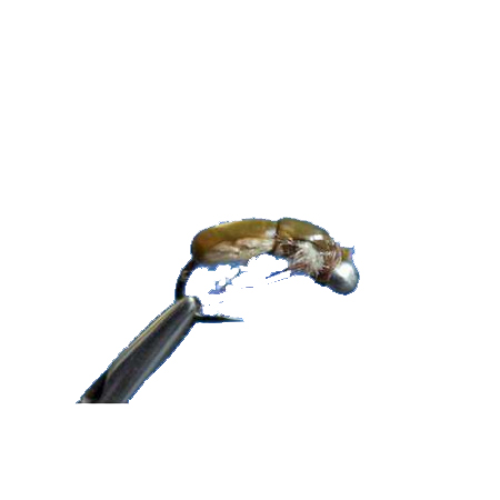 Нимфа Жучок №16 (Kumho) (50 шт.). Фото №1