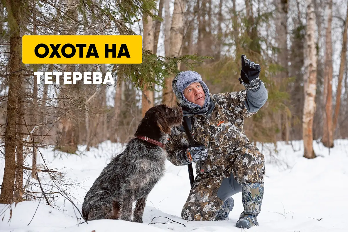 Охота на тетерева осенью и зимой: с подхода, с чучелом, на лунках Охота на тетерева осенью и зимой: с подхода, с чучелом, на лунках