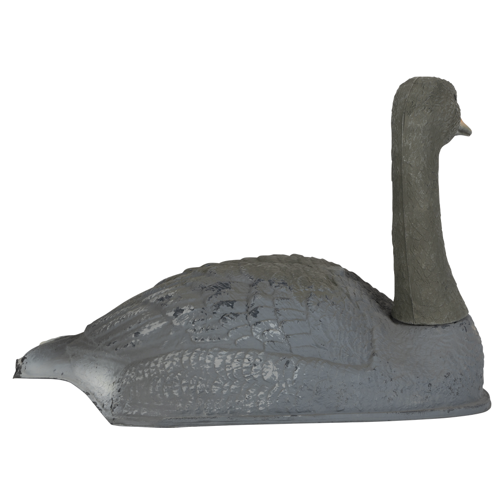 Гусь полукорпусной. Фото №3 Гусь полукорпусной. Фото №3