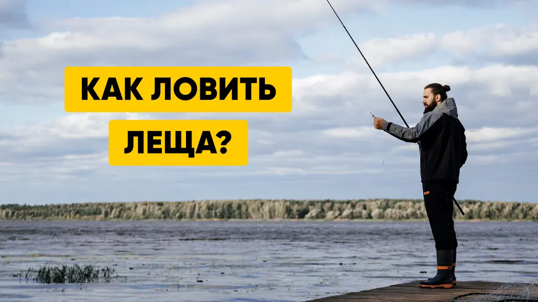 Как, где и на что ловить леща: техники и виды ловли, снасти, прикормка