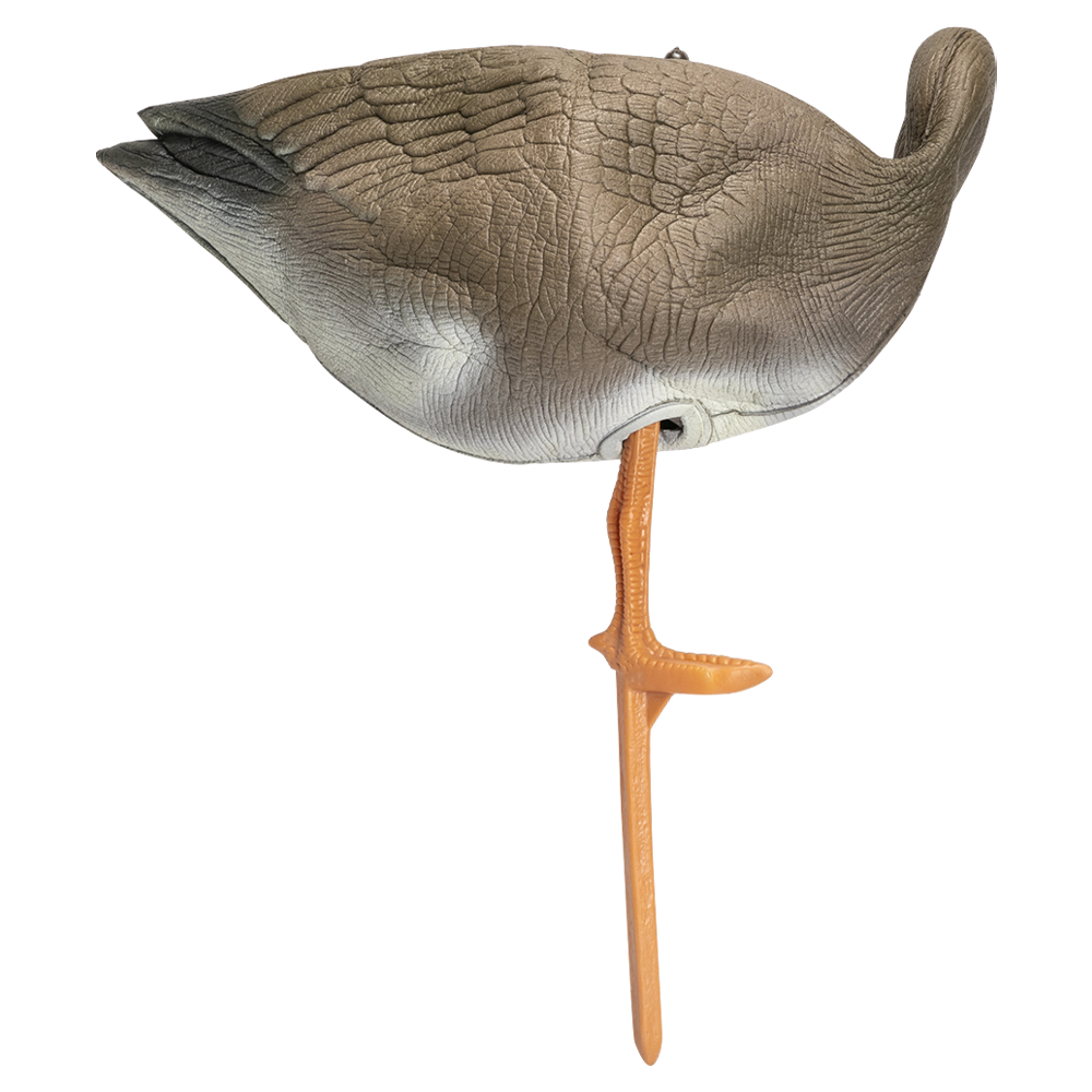 Муляж Гусь гуменник, отдыхающий, вид-2 (прямосмотрящий) (надувной). Фото №4