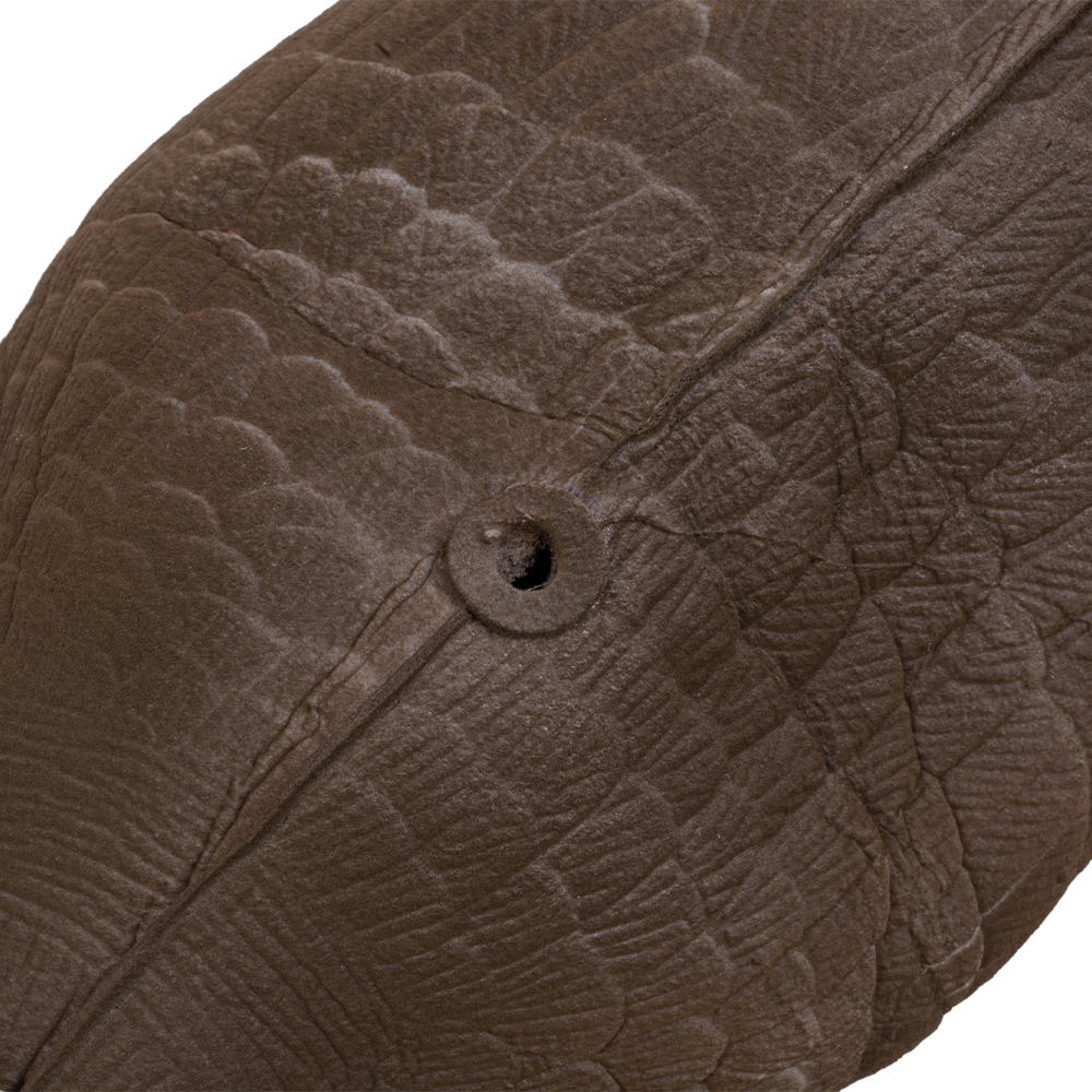 Муляж Гусь гуменник кормящийся (надувной). Фото №3